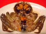 上海蟹の中身